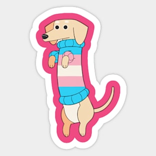 Dachshund Pride - Trans Flag Sticker